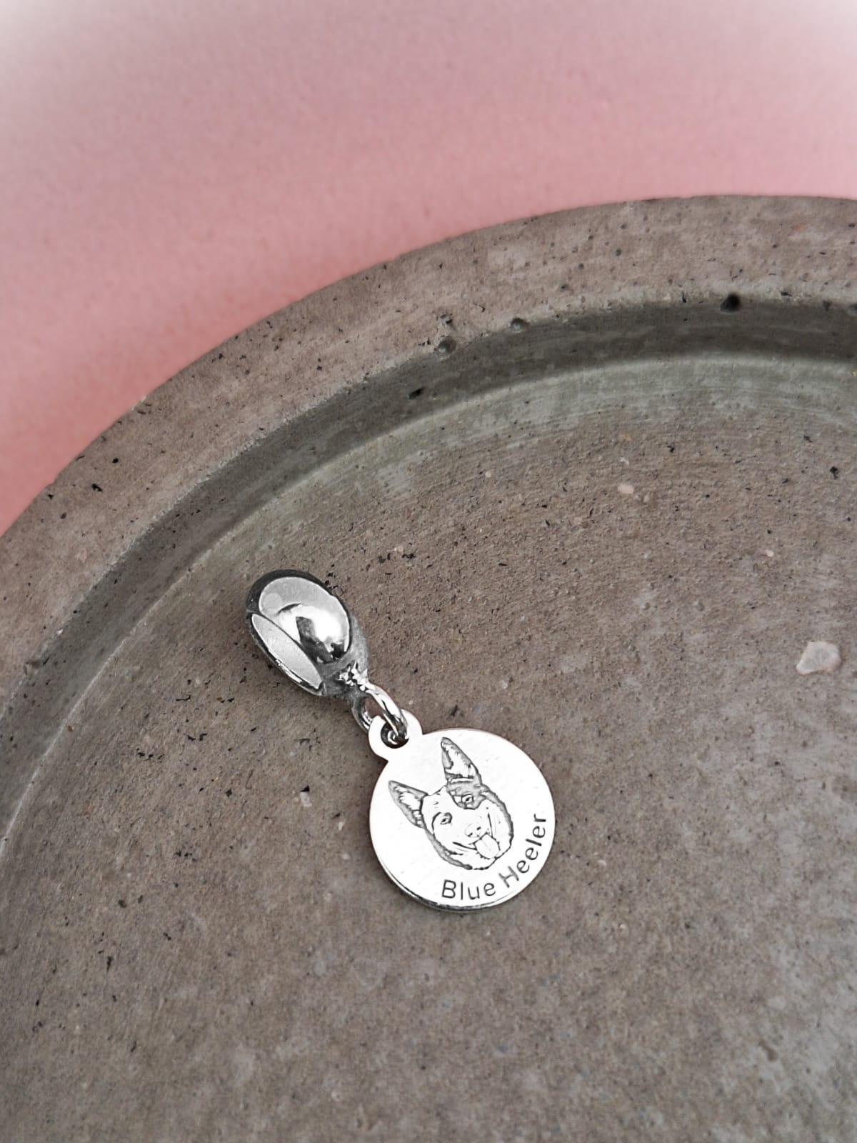 BERLOQUE  BLUE HEELER